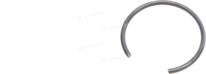 Magneti Marelli 302015100092