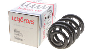Lesjofors 4256838