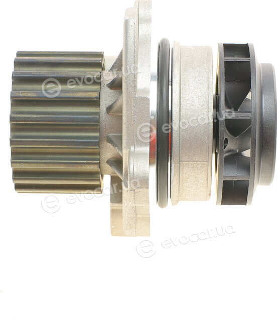 Continental CT1134WP1
