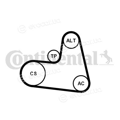 Continental 6PK1217K1