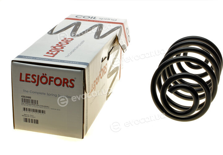 Lesjofors 4263486