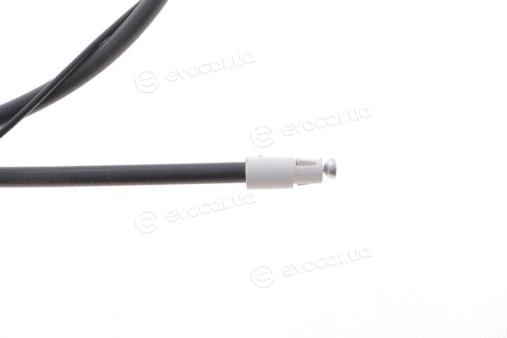 Solgy 219038