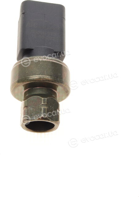 AIC 56099