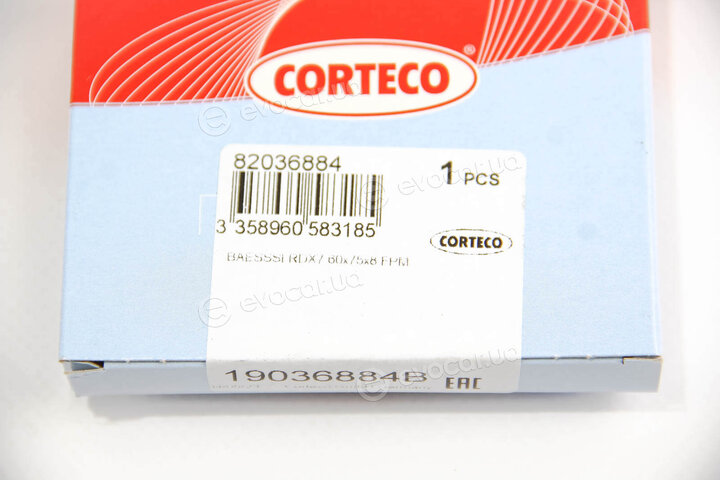Corteco 19036884B