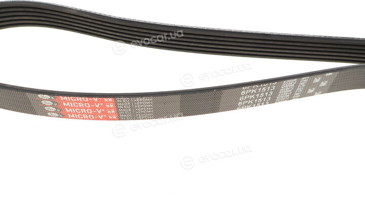 Gates 6PK1513