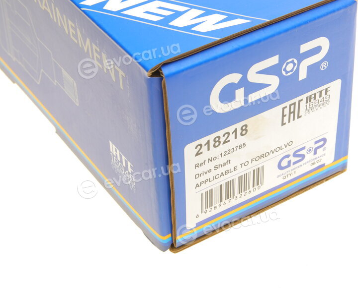 GSP 218218