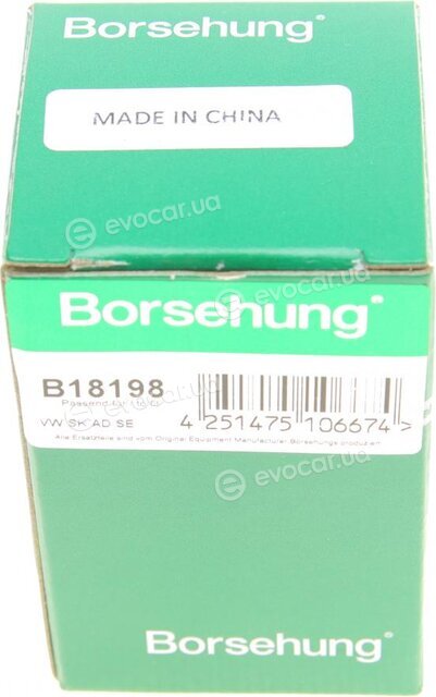 Borsehung B18198