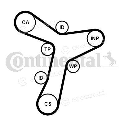 Continental CT1229WP1