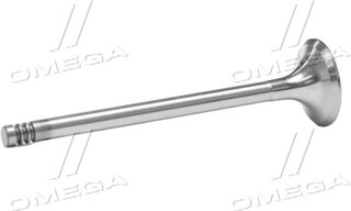 Gunes 4024