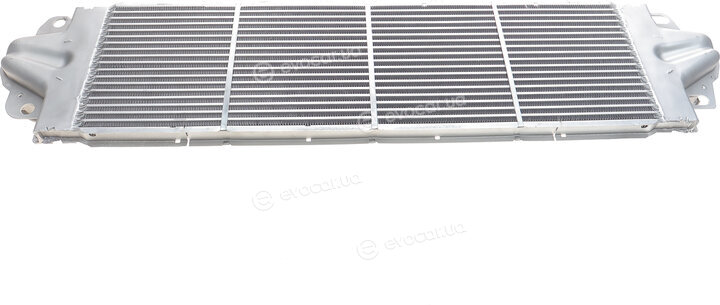 Solgy 114023