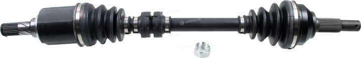 Blue Print ADBP890028