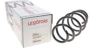 Lesjofors 4026232