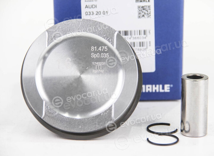 Mahle 033 20 01