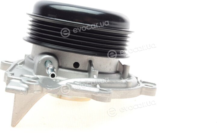 Hepu P1579