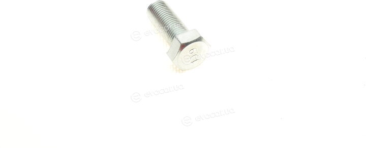 Solgy 203067