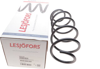 Lesjofors 4066780