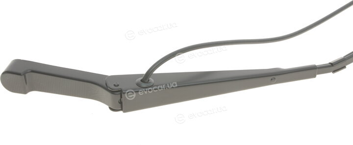 Solgy 307003