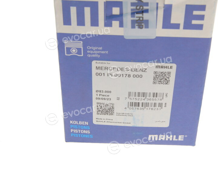 Mahle 001 PI 00178 000