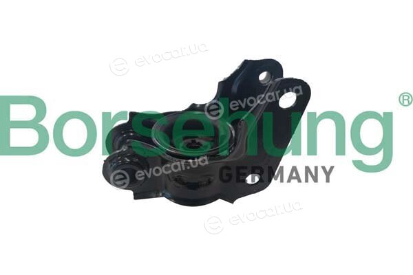 Borsehung B10046