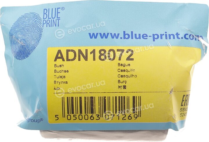 Blue Print ADN18072
