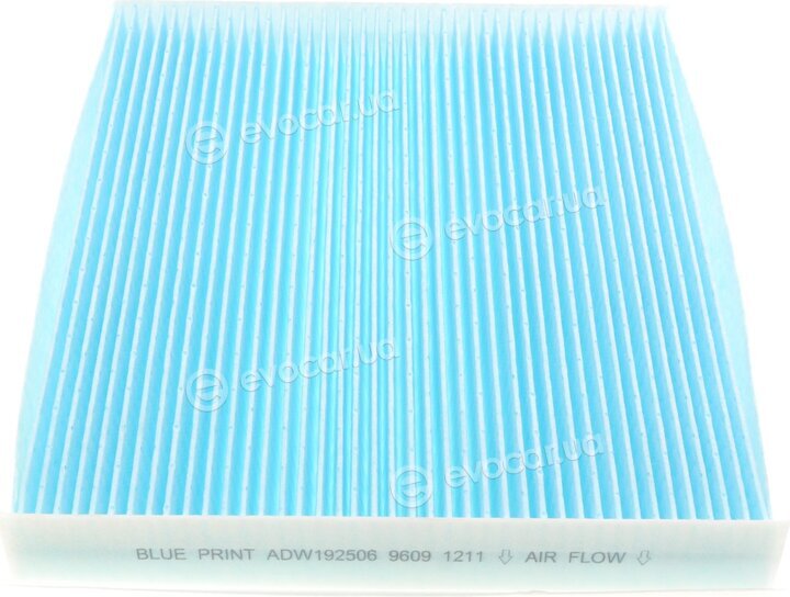 Blue Print ADW192506