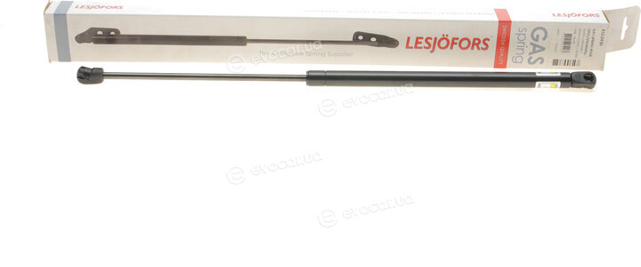 Lesjofors 8163436