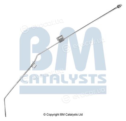 BM Catalysts PP11371A