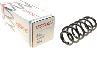 Lesjofors 4282921