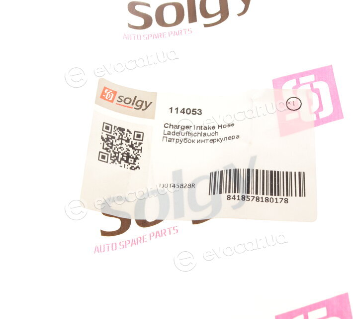 Solgy 114053