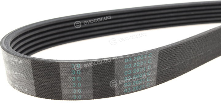 Continental 6PK1080K1