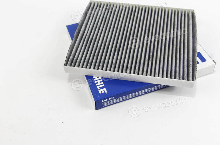Mahle LAK 301