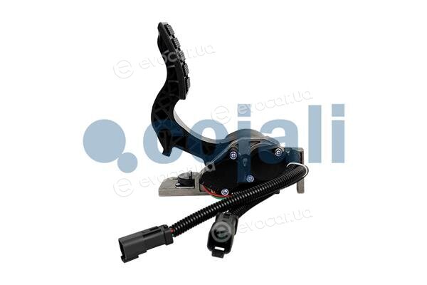 Cojali 2260506