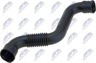 NTY GPP-AU-019
