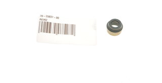Victor Reinz 70-25837-00