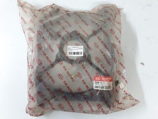 Kia / Hyundai 253501G100