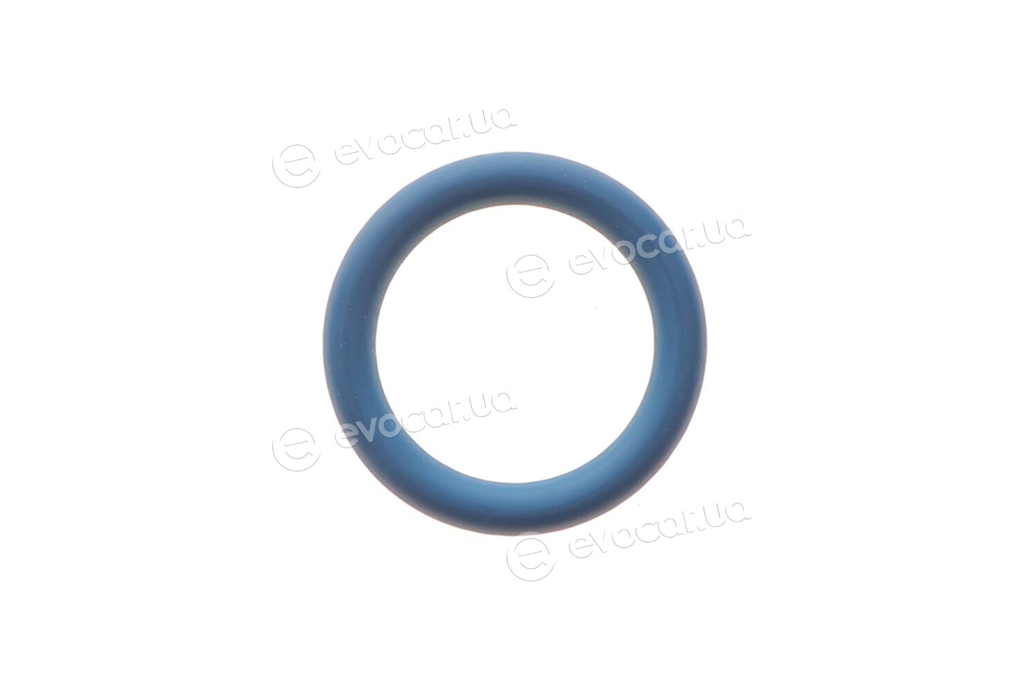 Elring 760.480