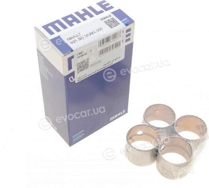 Mahle 021 BS 20295 300