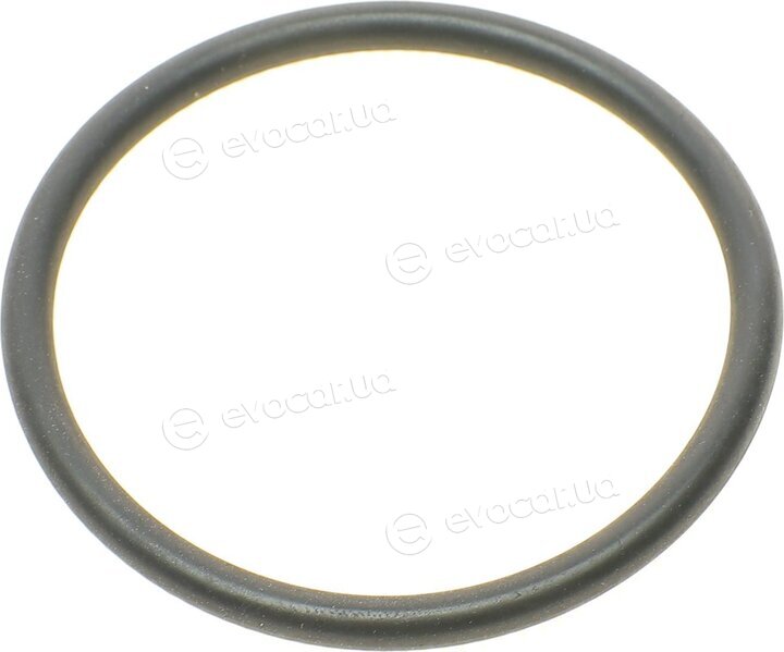 AIC 57384