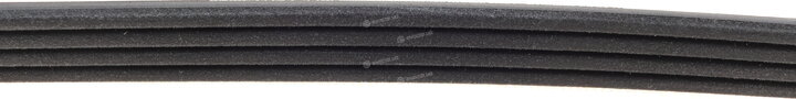 Dayco 4PK855