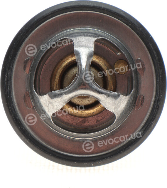 Motorad 531-82K