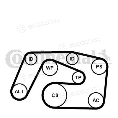 Continental 6PK2271K1