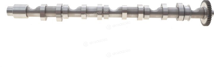 Borsehung B12523