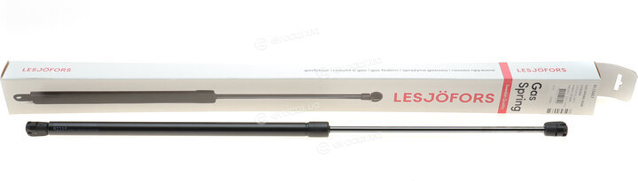 Lesjofors 8115667