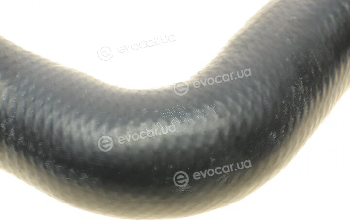 Solgy 114227