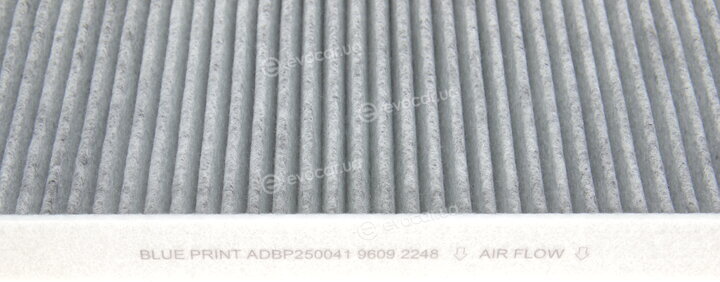 Blue Print ADBP250041