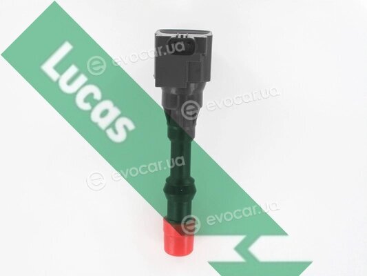 Lucas DMB1066