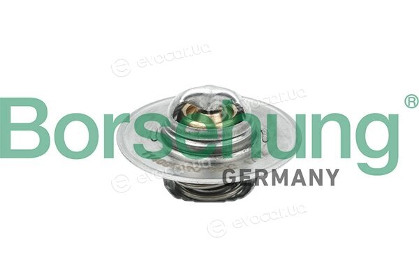 Borsehung B18280