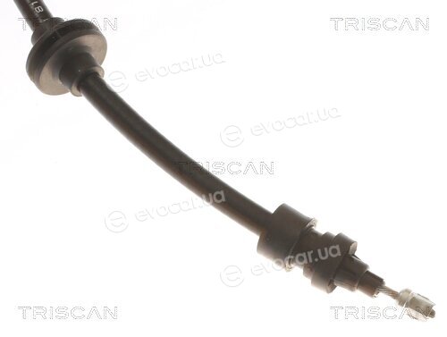 Triscan 8140 251253