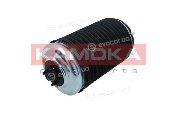 Kamoka 2079004