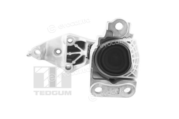 Tedgum TED81471